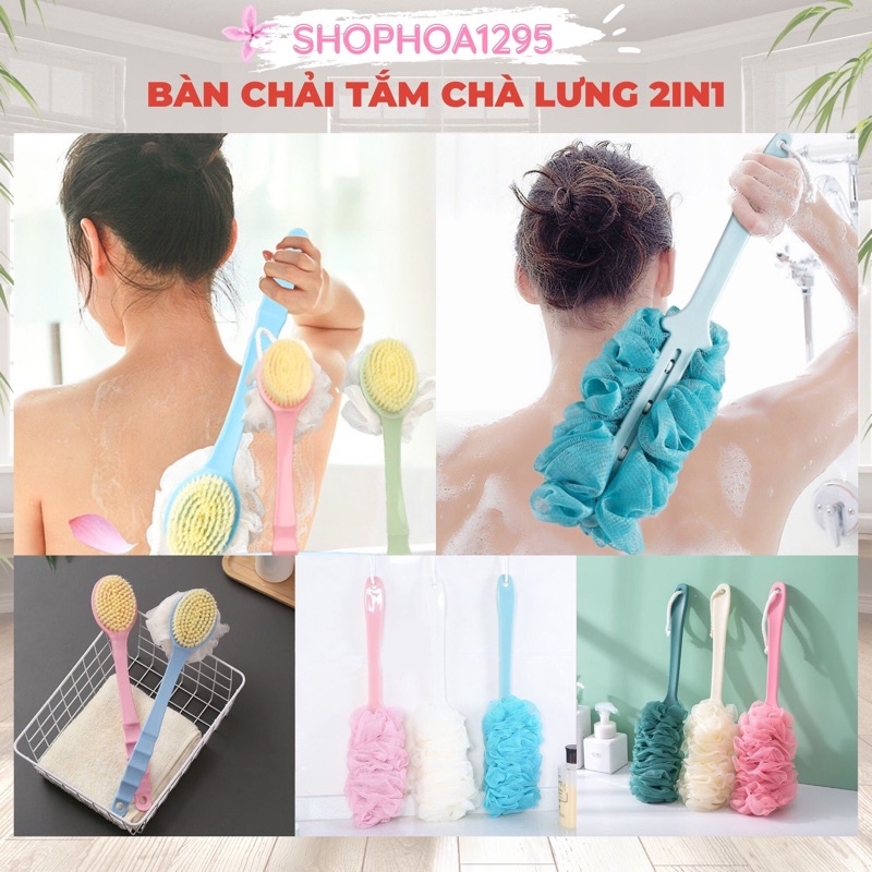 Cây Cọ kì lưng 2in1