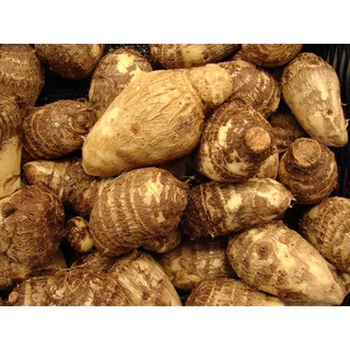 Khoai sọ (củ sọ) (1kg) ở TpHCM