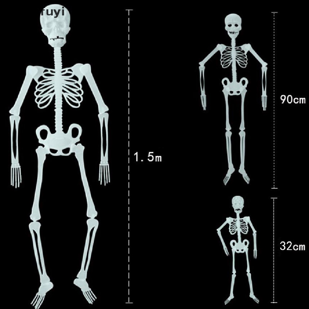 Bộ Xương Người 32 / 90 / 150cm Dùng Trang Trí Halloween