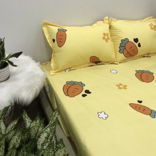 Ga chống thấn cotton củ cà rốt
