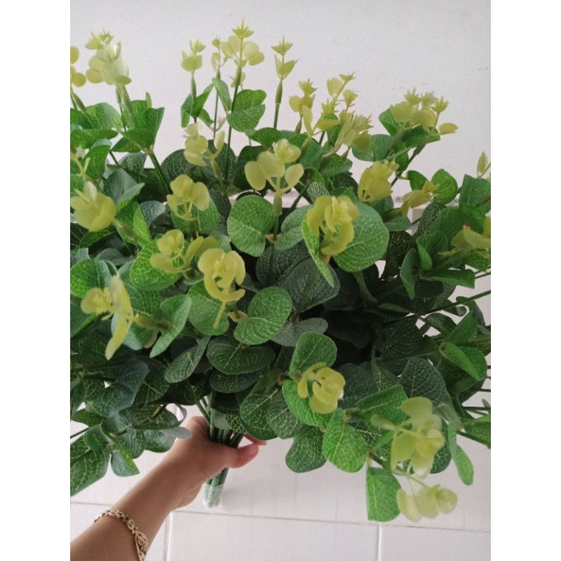 Lá táo giả,lá mimosa