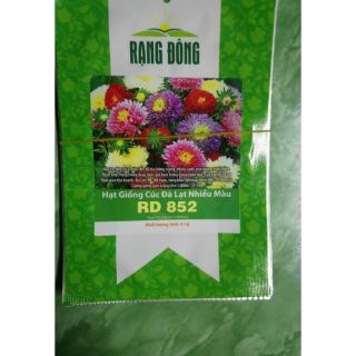 Hạt giống cúc đà lạt nhiều màu