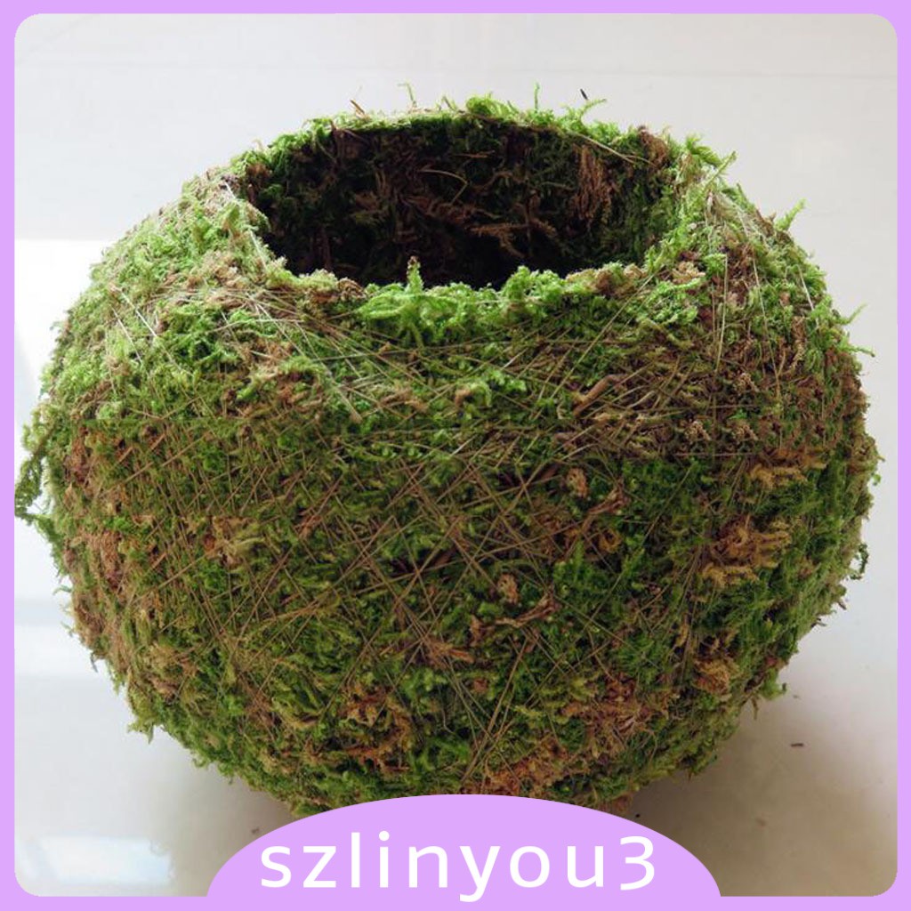 Chậu cây hình quả cầu rêu thiết kế sáng tạo dùng để trang trí vườn