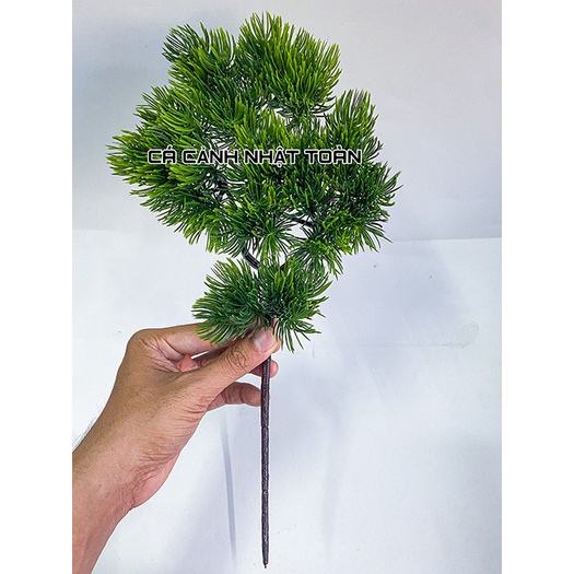 NHÁNH THÔNG NHÂN TẠO TRANG TRÍ NHÀ CỬA, BỂ CÁ, TIỂU CẢNH