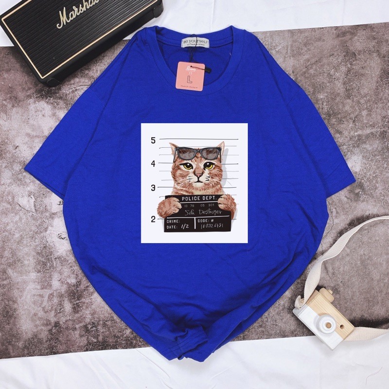 Áo Thun Tay Ngắn UNISEX in Decal Mèo PRISON CAT - Hình chụp thật (Đủ size M-L-XL) - Số đo ở cuối
