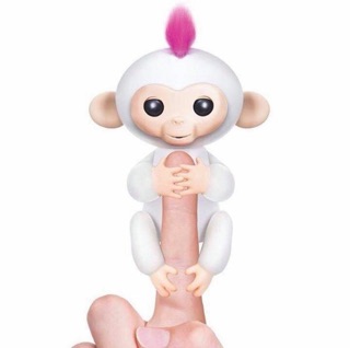  Khỉ fingerlings 