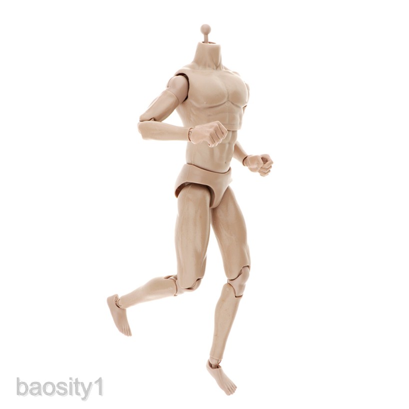 Mô hình cơ thể người nam tỉ lệ 1/6 12&quot;