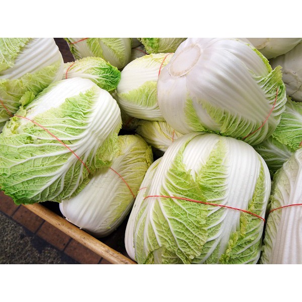 Gói Hạt Giống Cải Thảo Năng Suất, Giòn, Ngọt, Giàu Dinh Dưỡng Gói 50 hạt Giống Mới Chịu Nhiệt 4 Mùa