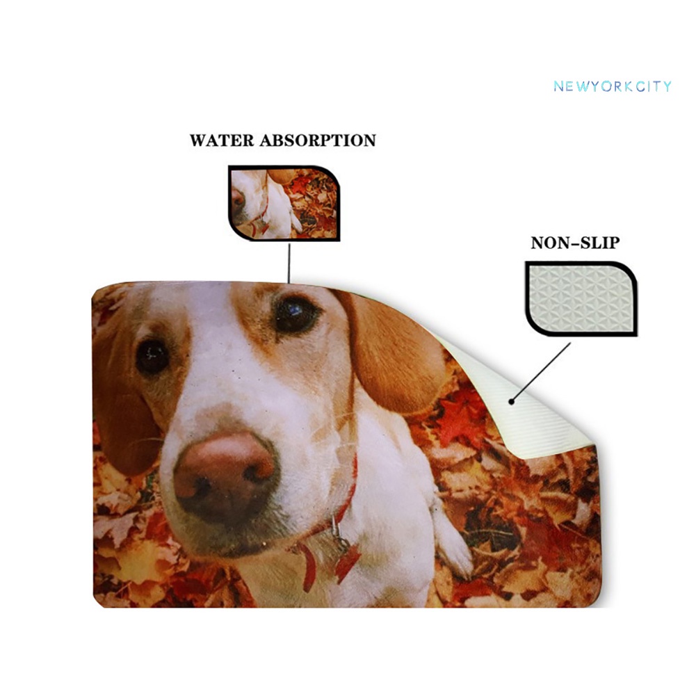 Thảm lót cửa chùi chân Chống Trượt In Hình Chú Chó 3D Cho Nhà Bếp / Phòng Tắm