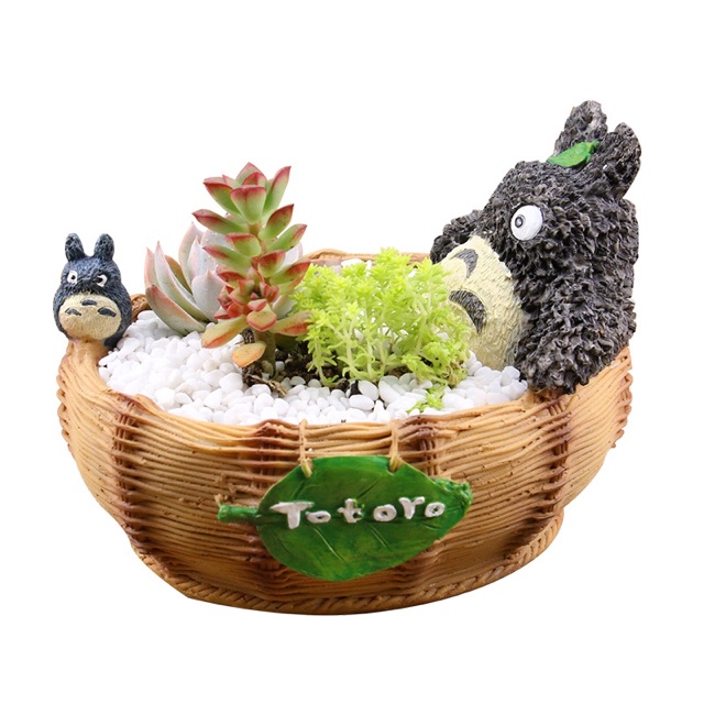 Chậu sen đá totoro