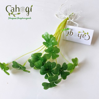 Cây Giả - Cây Cỏ May Mắn