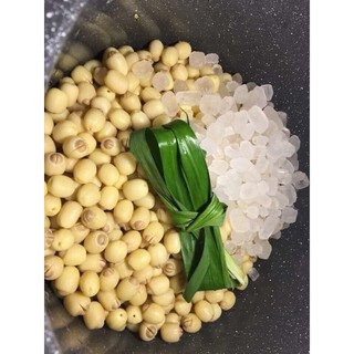 Hạt sen túi 1kg -hạt sen tươi -hạt sen hội an [ship nội thành hn]