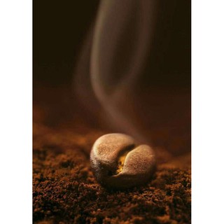 ARODAL - CÀ PHÊ RANG XAY 3/7 ARABICA VÀ ROBUSTA