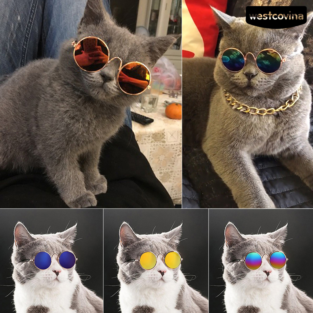 Kính Mát Gọng Ac Trong Suốt Dùng Làm Phụ Kiện Chụp Ảnh Cho Thú Cưng