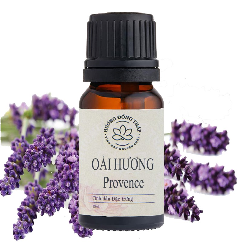 Tinh dầu Oải Hương Provence Pháp