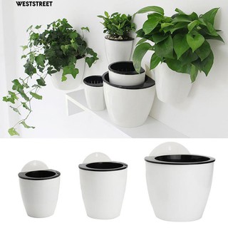 Chậu nhựa trồng cây cảnh dạng treo tiện dụng