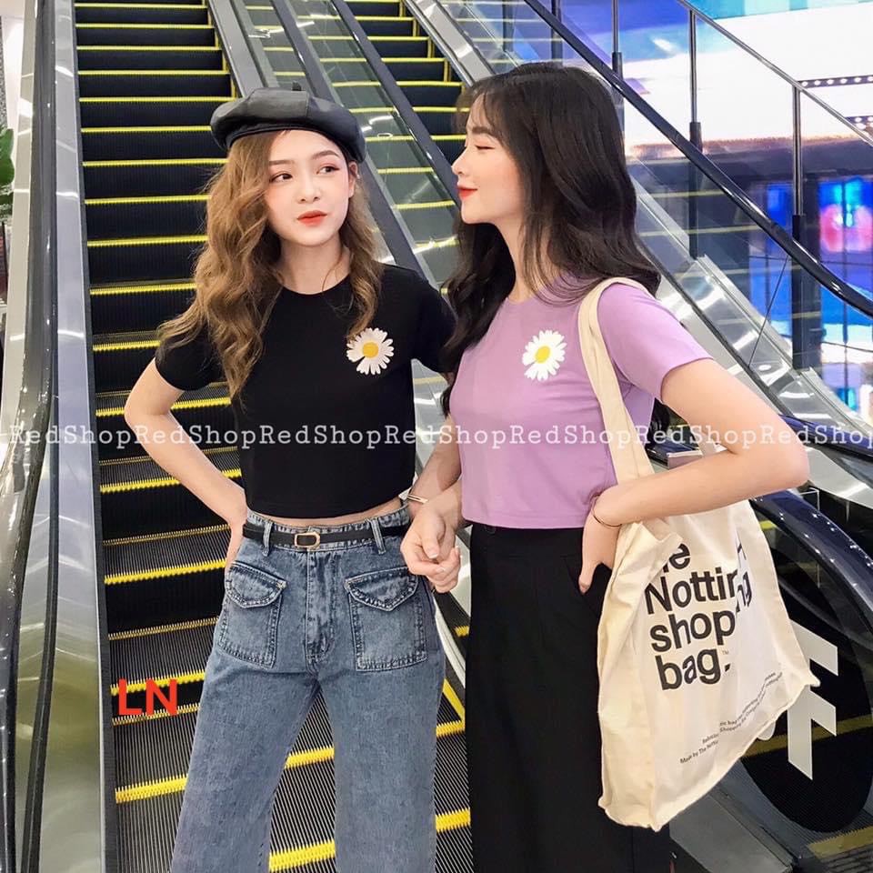 Áo croptop hoa cúc