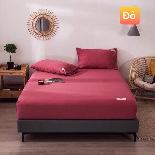 Bộ ga gối cotton tici cao cấp đủ màu +kt sang trọng đủ màu nhập khẩu cao cấp | BigBuy360 - bigbuy360.vn