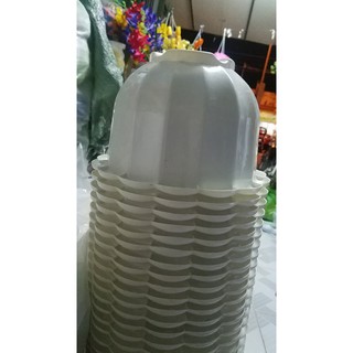 Combo 20 chậu bí kèm dây treo