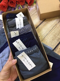 COMBO 2 QUẦN SỊP ĐÙI COTTON