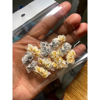 sét hoa bột nail (20 hoa)
