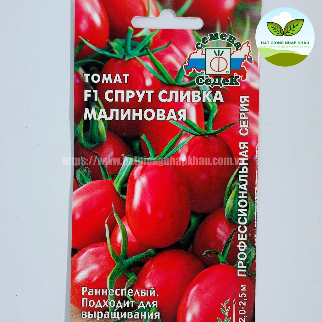 Hạt giống cà chua leo giàn cherry F1. Hàng Nga. 20 hạt/gói