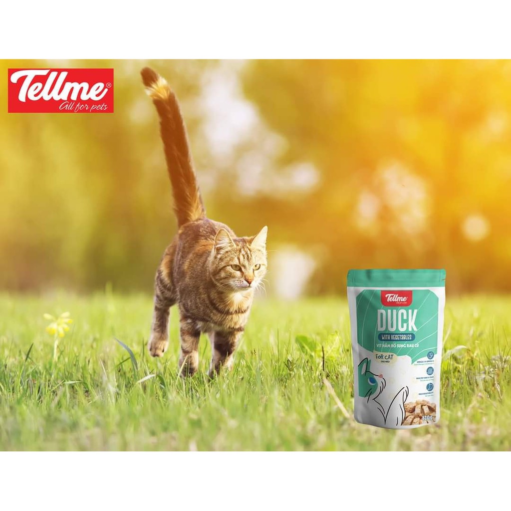 TELLME Sốt Vịt Hầm Bổ Sung Rau Củ Cho Chó Mèo 130g