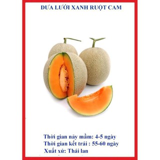 20 hạt giống dưa lưới xanh ruột cam LuckyseadTG