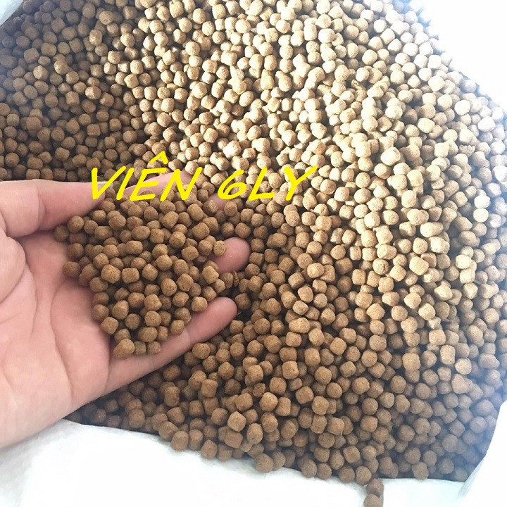 [1kg]Thức Ăn cá Cargill 7562 cho cá ăn hoặc dùng câu cá,rô phi,chép,điêu hồng,troi(1kg)-cám cá 7562 nuôi cá