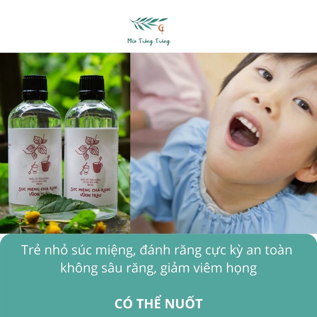 Nước súc miệng đánh răng trầu không Vườn Trầu VIETHERB khử mùi diệt khuẩn hỗ trợ viêm lợi nhiệt miệng chảy máu chân răng