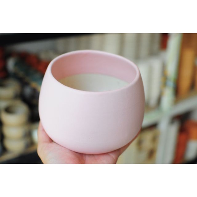 Chậu hạt dẻ 12cm