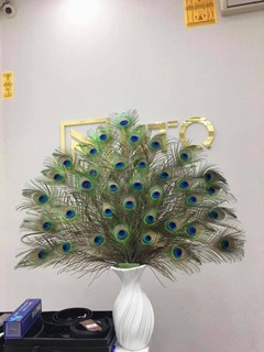 mắt lông công trang trí loại 1
