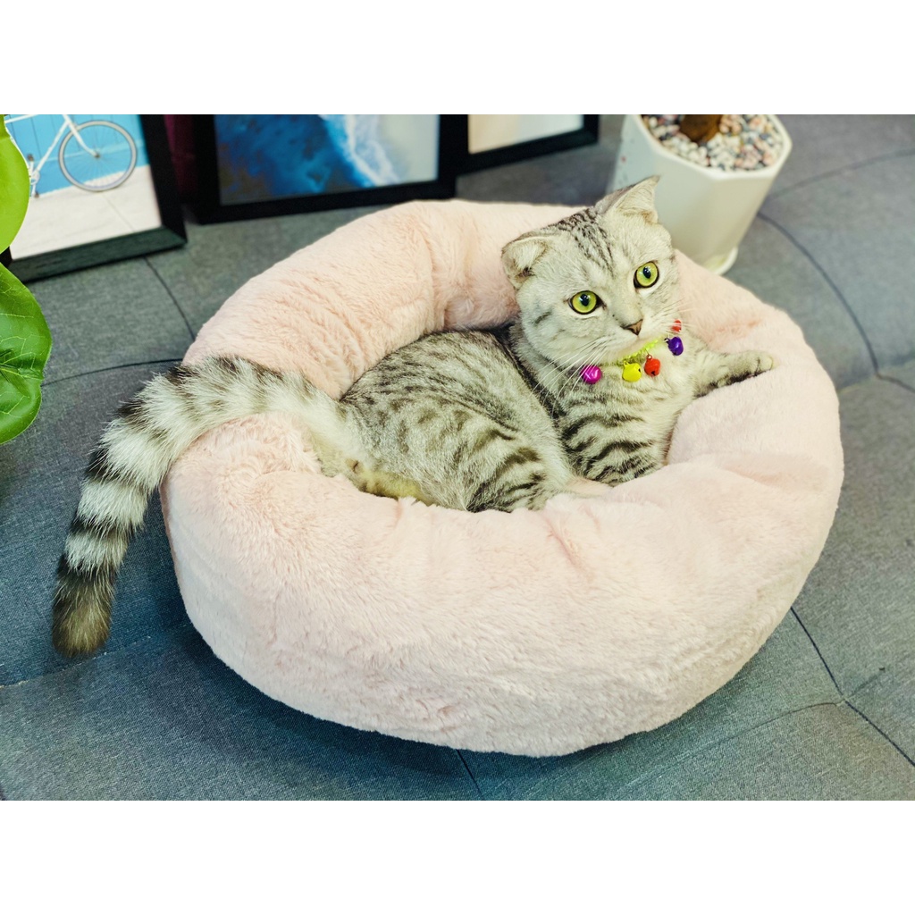 Ổ NỆM CHÓ MÈO THÚ CƯNG LÔNG NHUNG