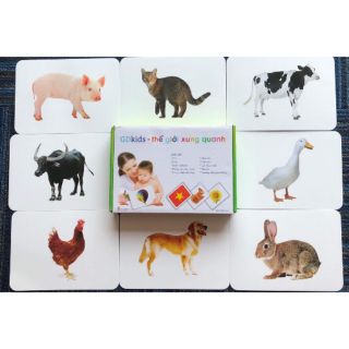 Flashcard theo chuẩn Glenn Doman | 100 thẻ Thế giới xung quanh