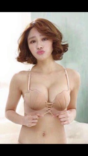 Áo vỏ sò
