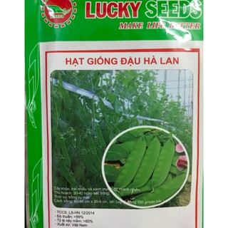 HẠT GIỐNG ĐẬU HÀ LAN GÓI 50G LUCKYSEEDS