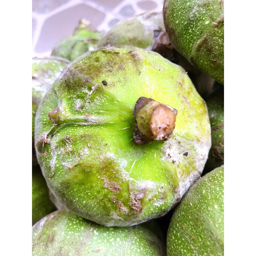 500g/1Kg Trái Vả Huế