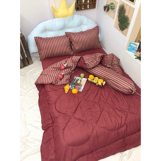 Trọn Bộ Ga Giường Chần Bông Sọc đỏ Cực Sang M2-M4-M6-M8*2M