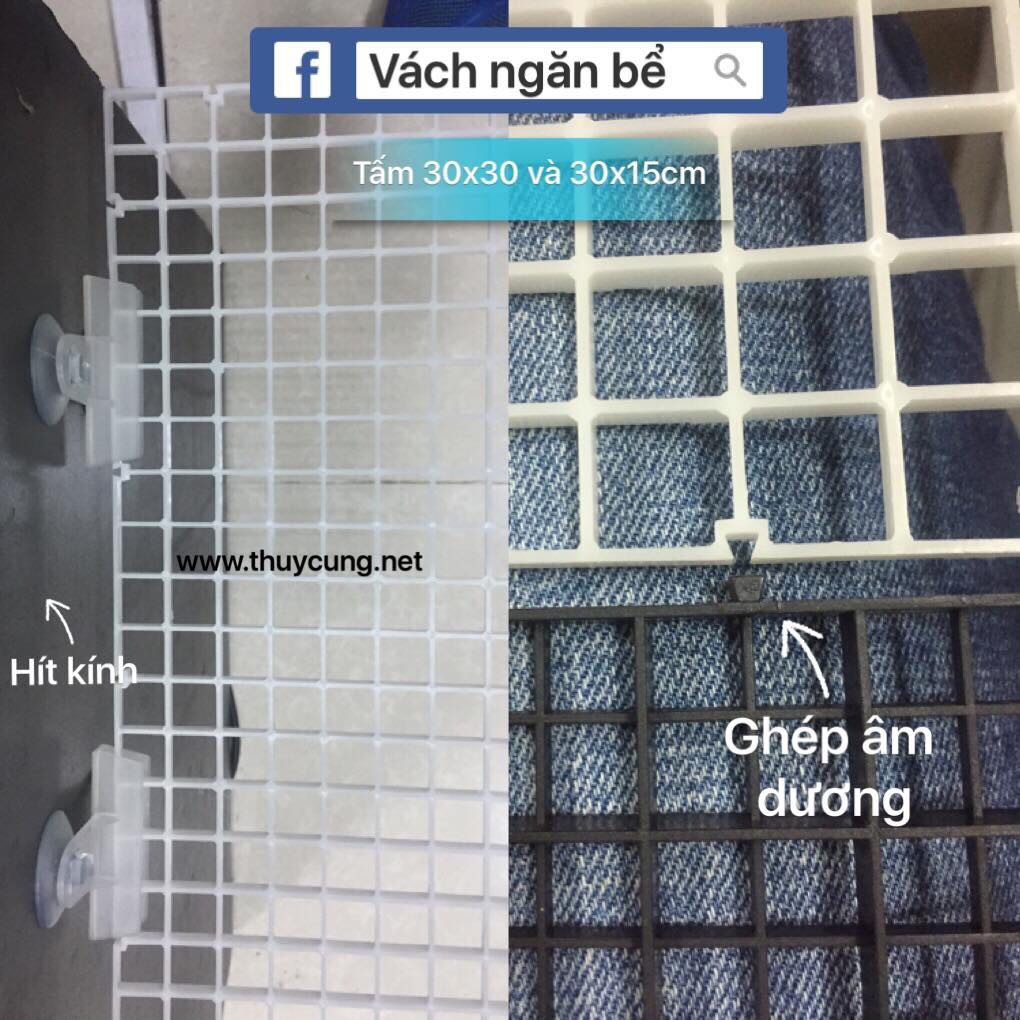 Tấm vách ngăn bể cá