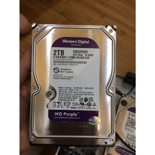 Ổ CỨNG 2TB WESTERN CHO CAMERA (Ổ CỨNG 2000GB WD TÍM)
