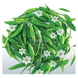 Hạt giống ớt xiêm phú nông