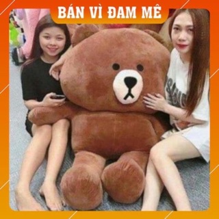 Gấu bông brown cao 1m