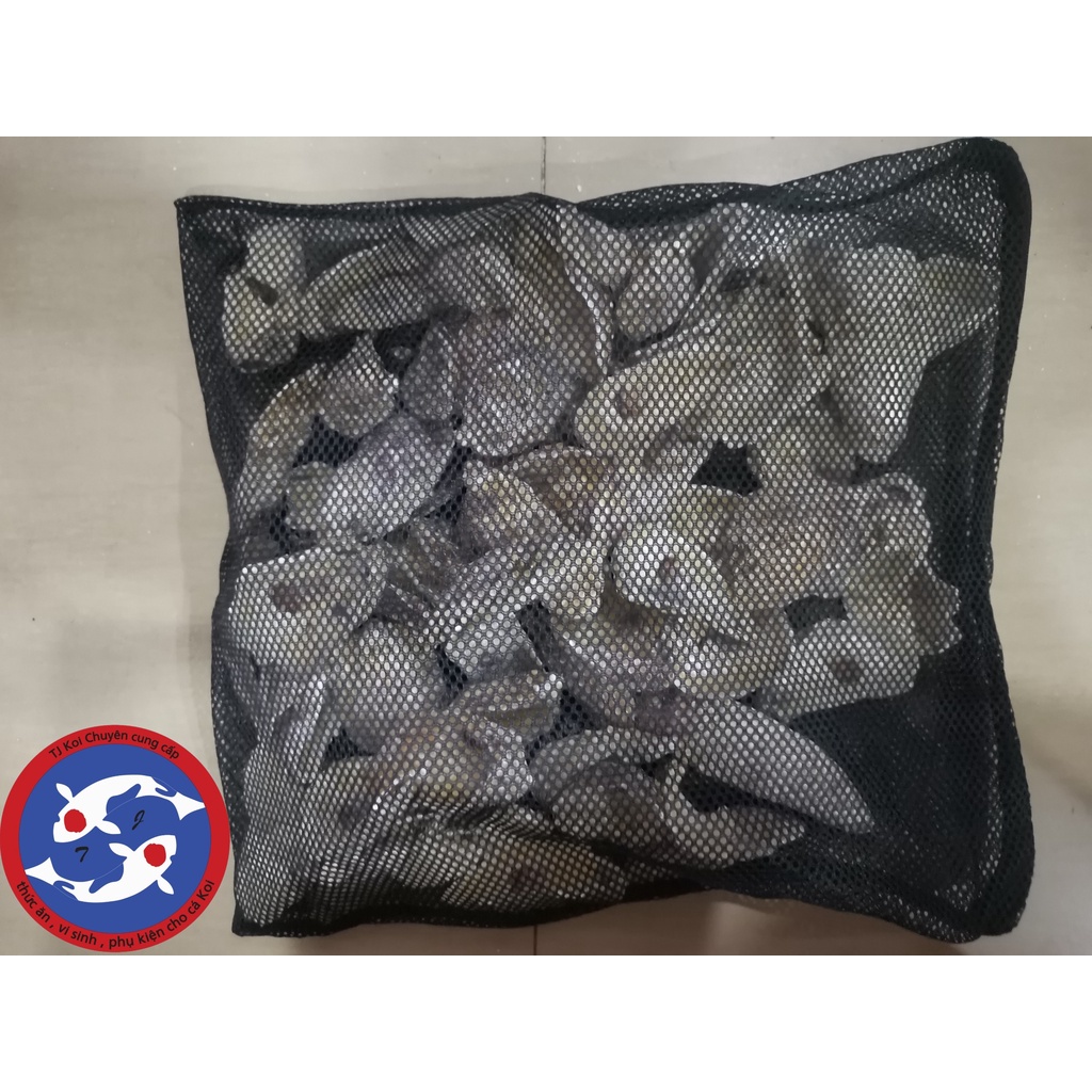 Vỏ Hàu Ion (Vật liệu lọc hồ cá giúp ổn định PH hồ cá, có kiểm định chứng nhận)(có túi lọc dây kéo đựng)