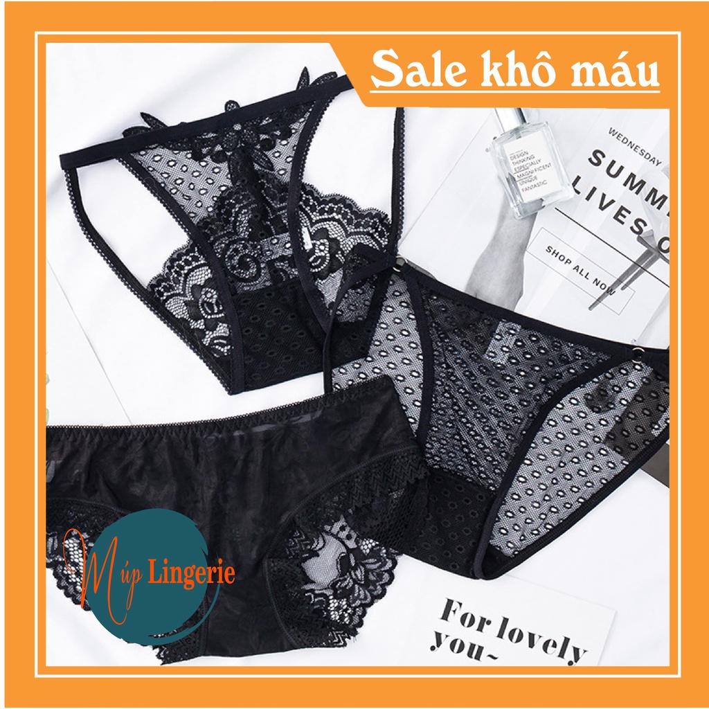 Quần lót cotton phối ren lưới  thoáng khí màu đen gợi cảm  cho nữ- Múp Lingerie | BigBuy360 - bigbuy360.vn