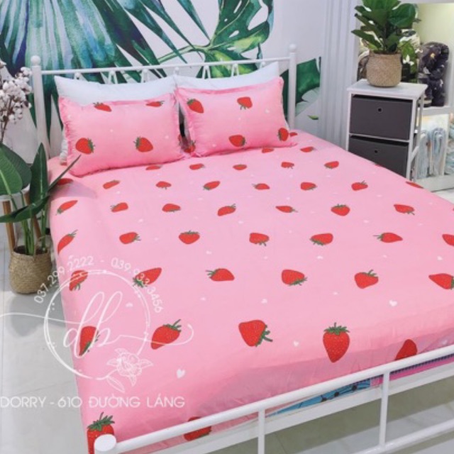 Bộ ga gối poly cotton hàng đẹp full size m2, m6, m8, 2m2 và màu (được chọn mẫu) hn gagoi ga giường