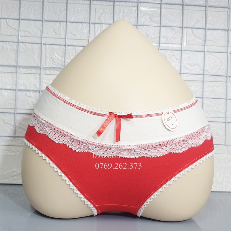 Quần lót nữ QN.02 chất cotton phối zen màu đẹp xinh cho chị em- Ảnh shop chụp