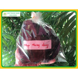 100g Nhục thung dung tăng cường sinh lý