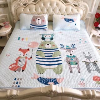 CHIẾU ĐIỀU HÒA TENCEL M6×2M