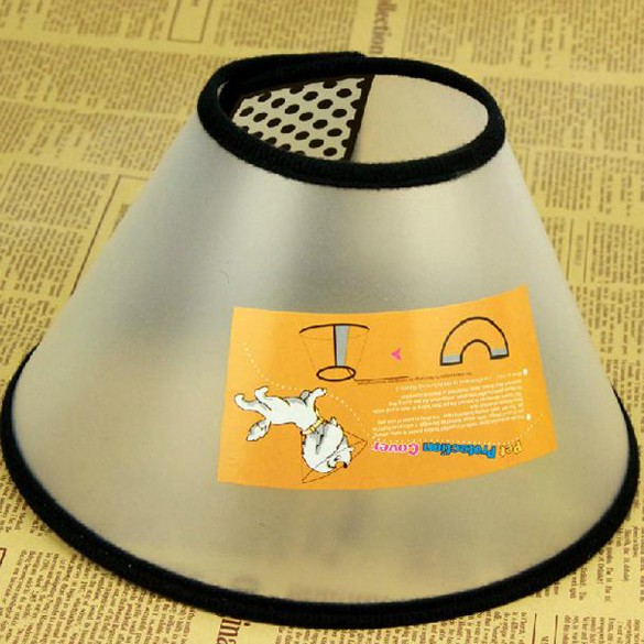 Vòng cổ bảo vệ làm thoải mái cho thú cưng