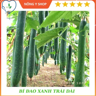 Túi zip 2 hạt - hạt giống bí đao xanh trái dài lai f1 - bí java rạng đông
